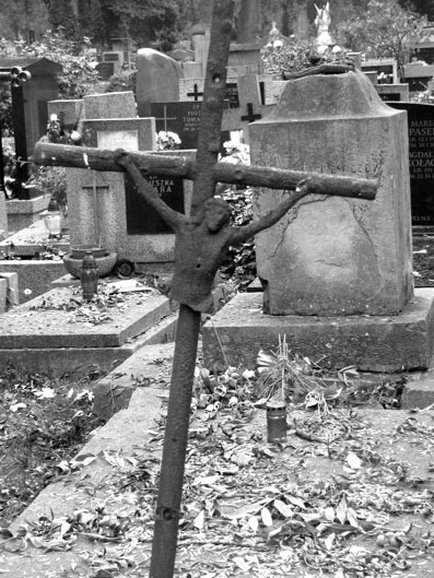 View larger image View larger image