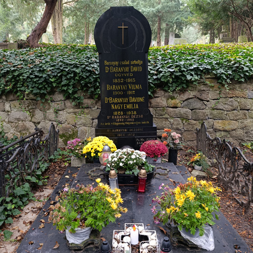 View larger image View larger image