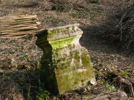 View larger image View larger image