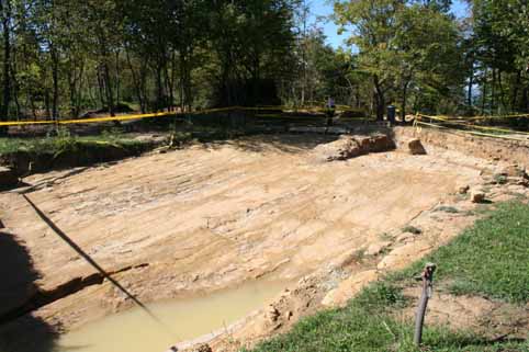 View larger image View larger image