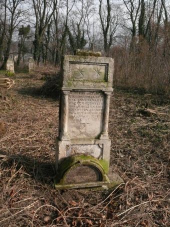 View larger image View larger image