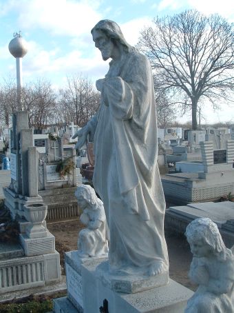 View larger image View larger image