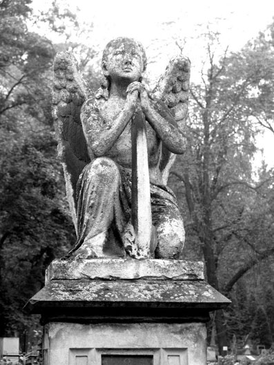 View larger image View larger image