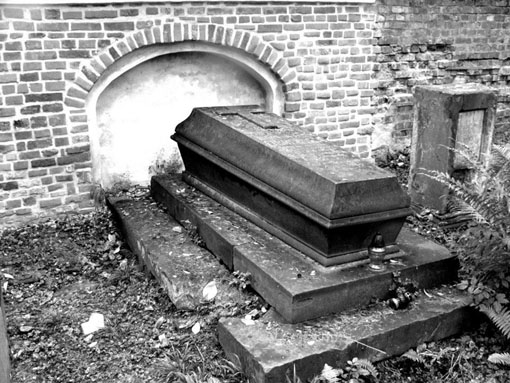 View larger image View larger image