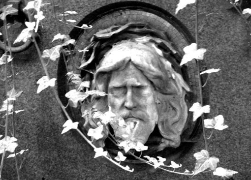 View larger image View larger image