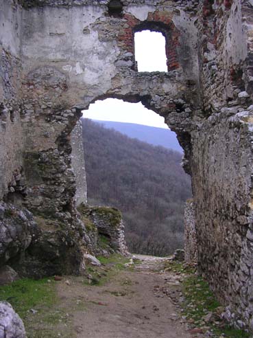 View larger image View larger image