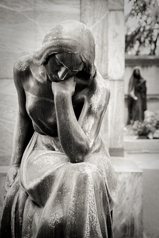 View larger image View larger image