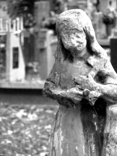 View larger image View larger image