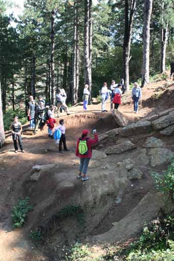 View larger image View larger image