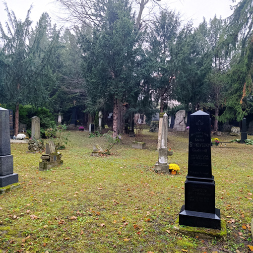 View larger image View larger image