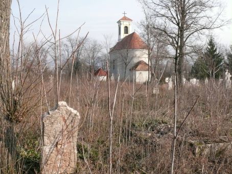 View larger image View larger image