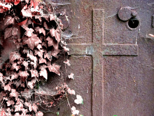 View larger image View larger image