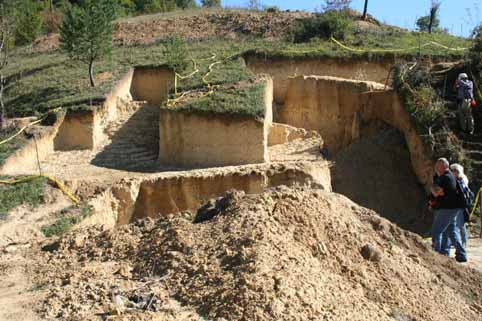 View larger image View larger image