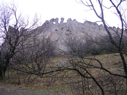 View larger image View larger image