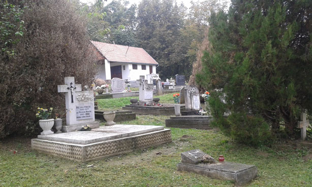 View larger image View larger image