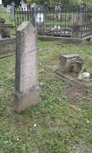 View larger image View larger image