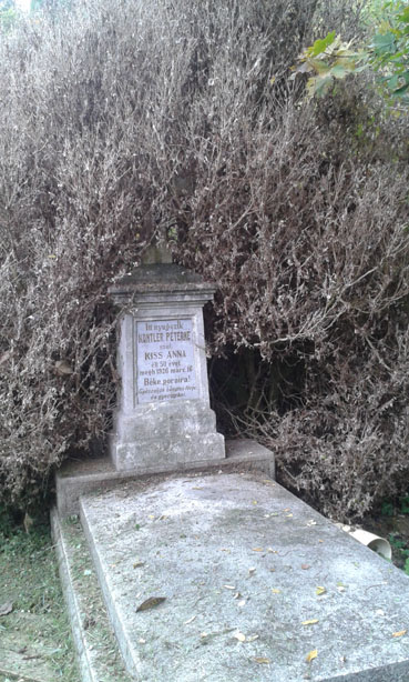 View larger image View larger image