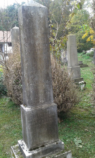 View larger image View larger image