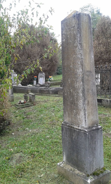 View larger image View larger image