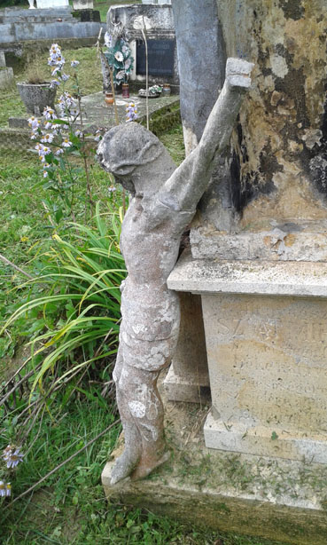 View larger image View larger image