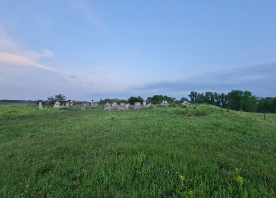 View larger image View larger image