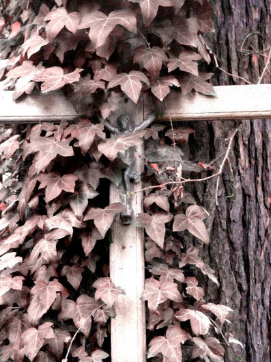 View larger image View larger image