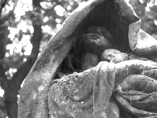 View larger image View larger image