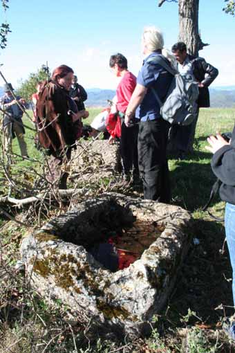 View larger image View larger image