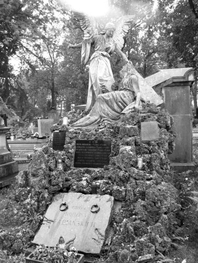 View larger image View larger image