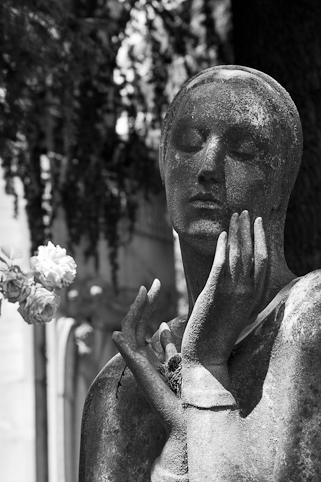 View larger image View larger image