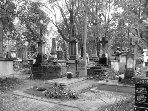 View larger image View larger image