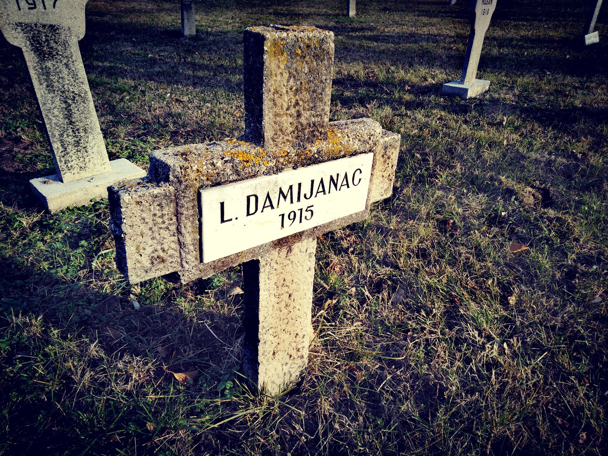 View larger image View larger image