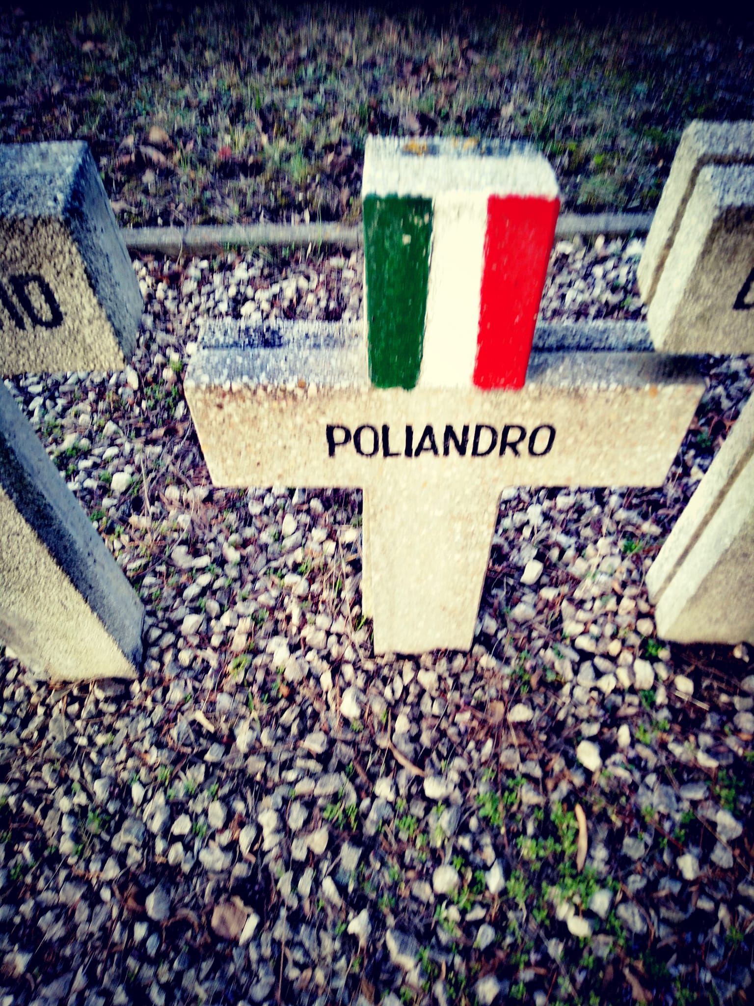 View larger image View larger image