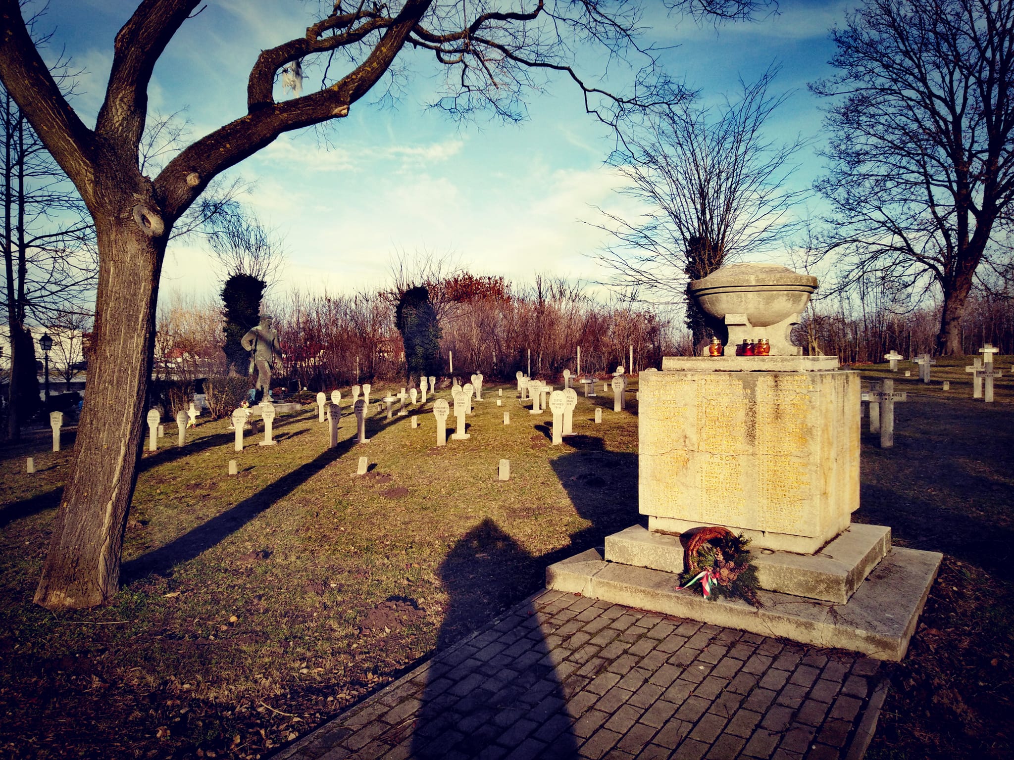 View larger image View larger image