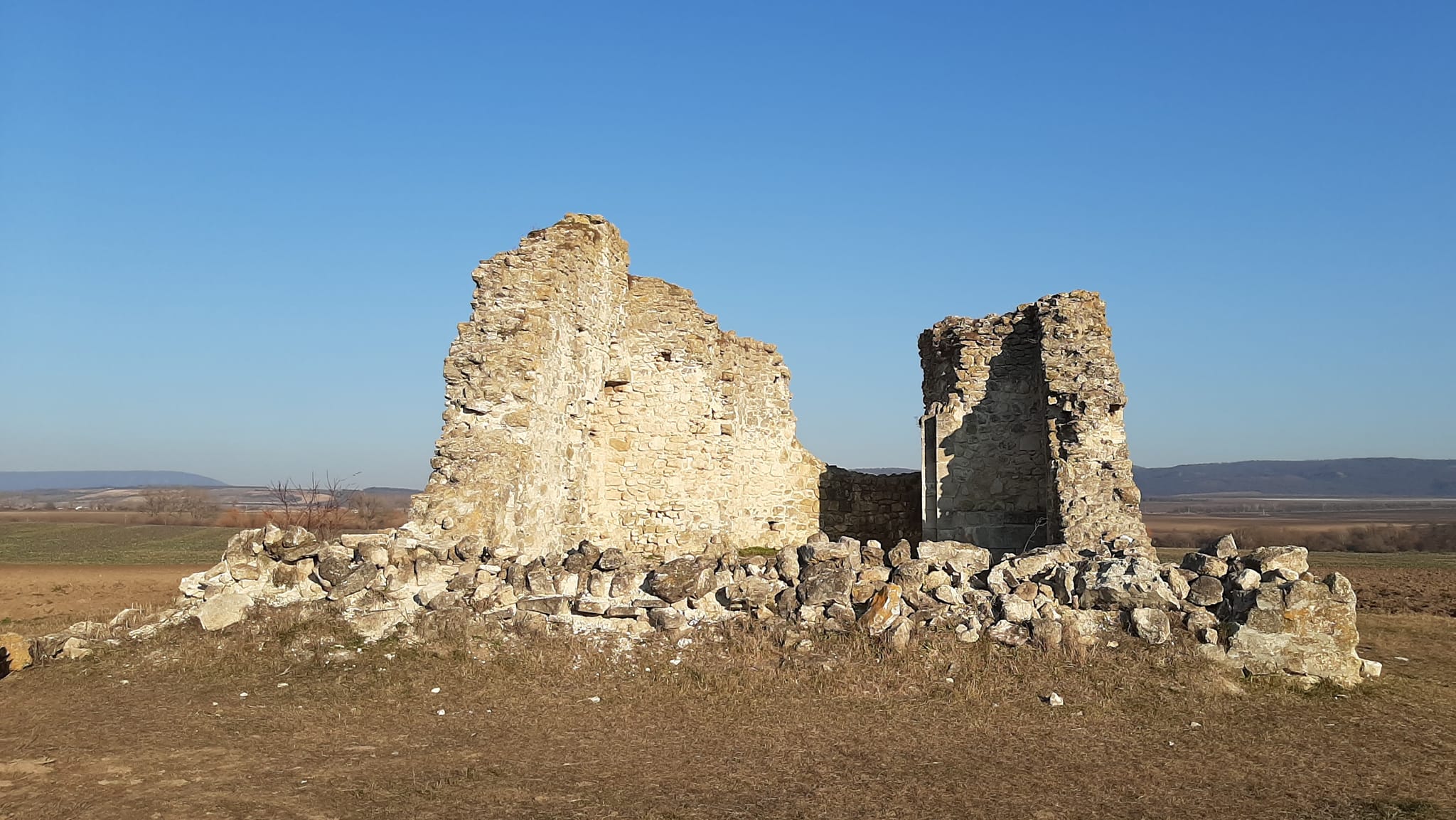 View larger image View larger image