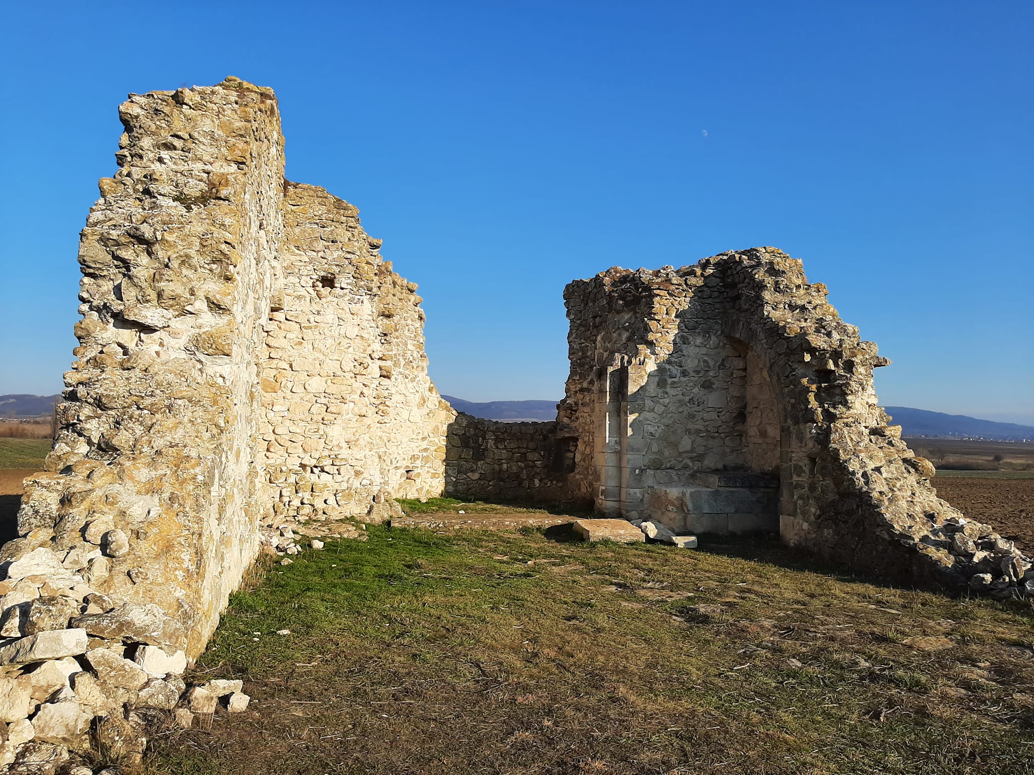 View larger image View larger image