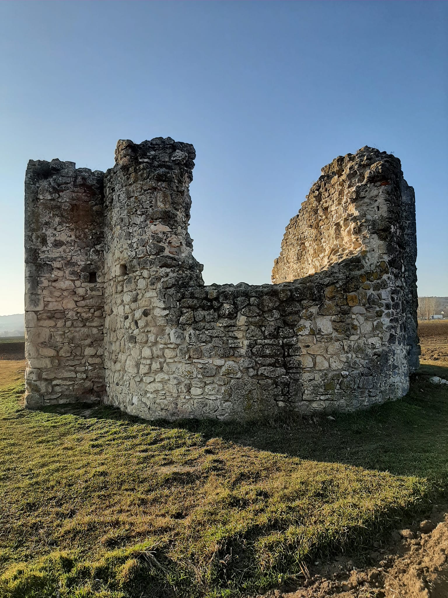 View larger image View larger image