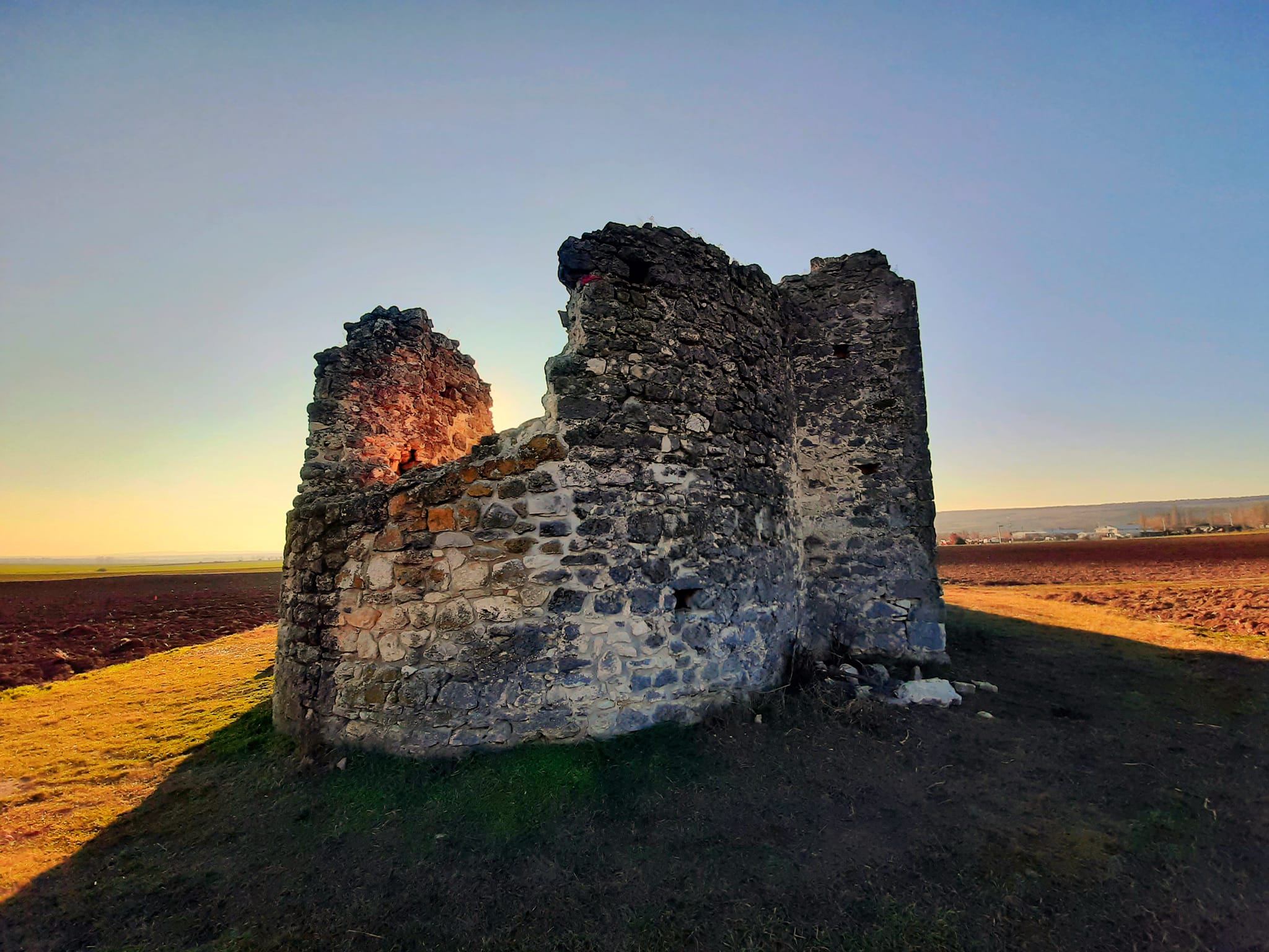 View larger image View larger image