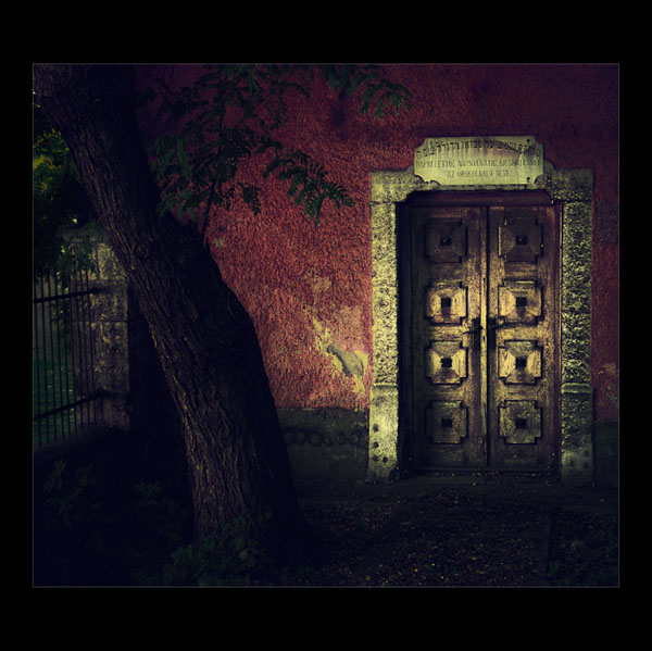 View larger image View larger image