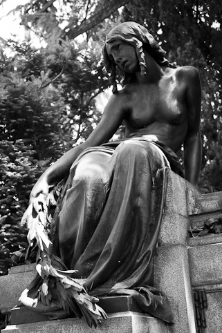 View larger image View larger image