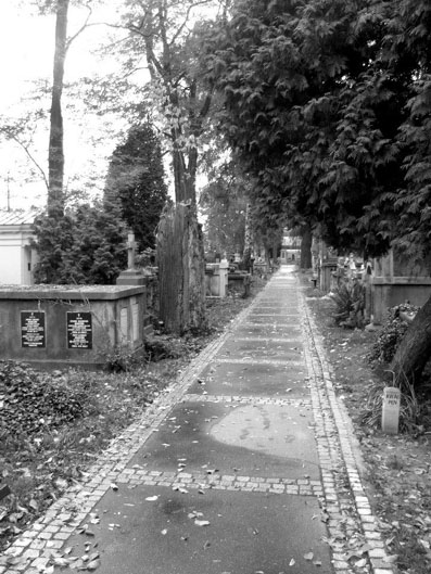 View larger image View larger image