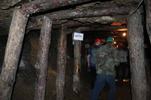 View larger image View larger image