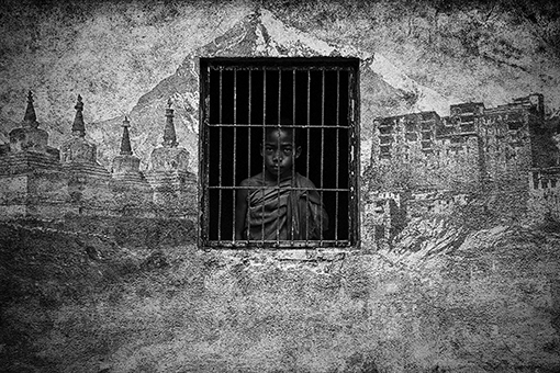 View larger image View larger image