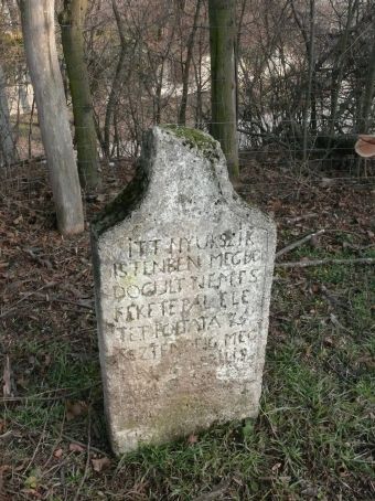 View larger image View larger image