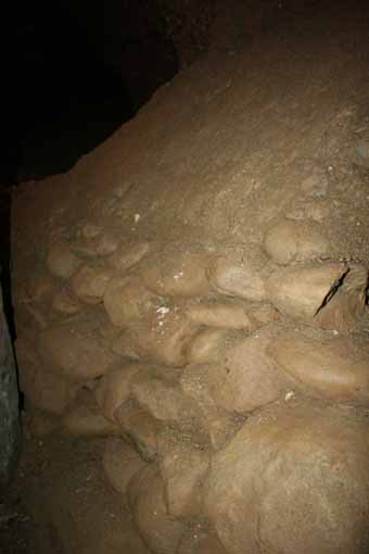 View larger image View larger image