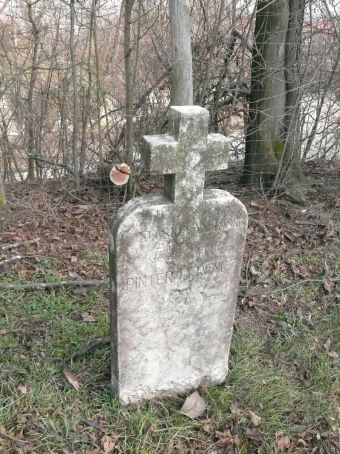 View larger image View larger image