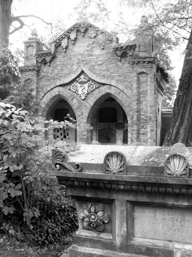 View larger image View larger image