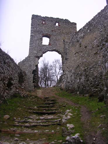 View larger image View larger image