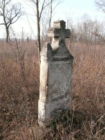 View larger image View larger image