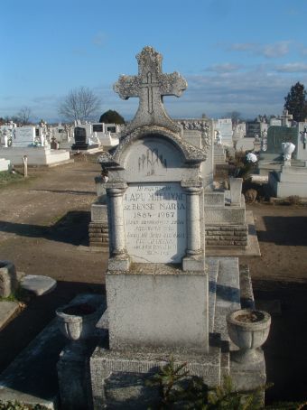 View larger image View larger image